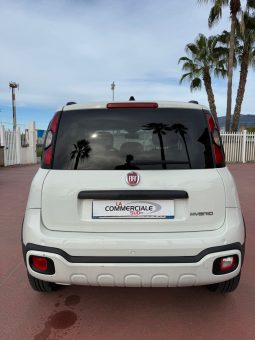 
										Fiat Panda 1.0 HYBRID 69cv completo									