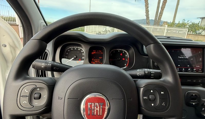 
								Fiat Panda 1.0 HYBRID 69cv completo									