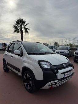 
										Fiat Panda 1.0 HYBRID 69cv completo									