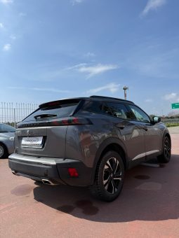
										Peugeot 2008 completo									