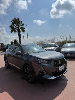 
										Peugeot 2008 completo									