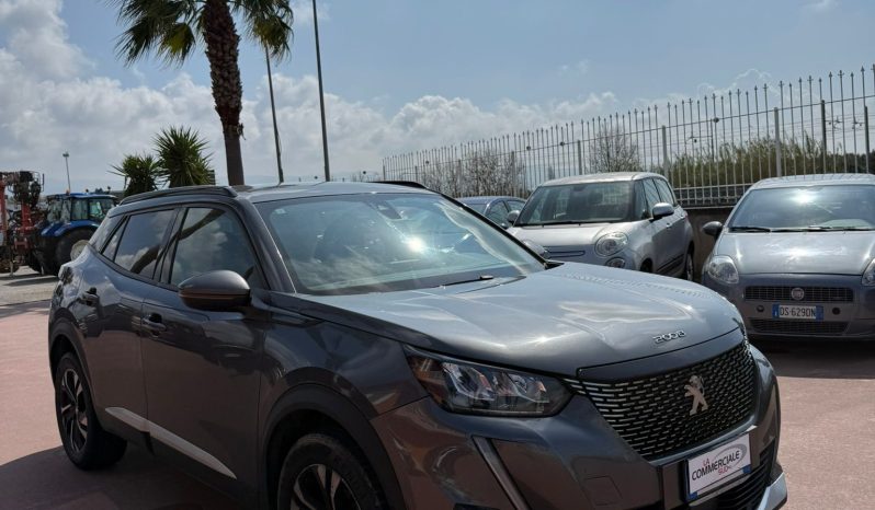 
								Peugeot 2008 completo									