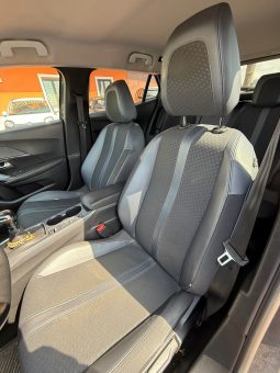 
										Peugeot 2008 completo									