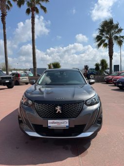 
										Peugeot 2008 completo									