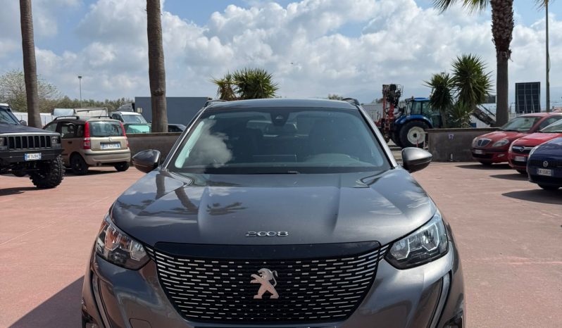 
								Peugeot 2008 completo									