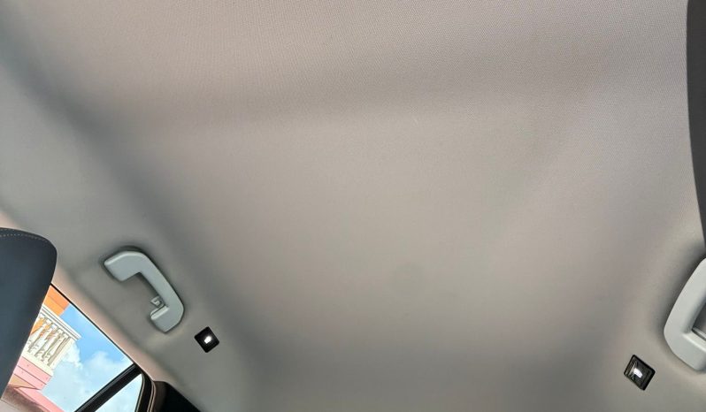
								Peugeot 2008 completo									