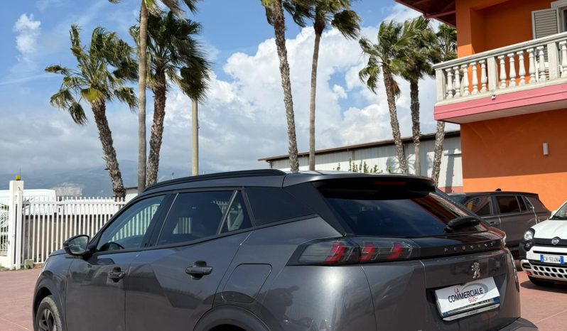 
								Peugeot 2008 completo									