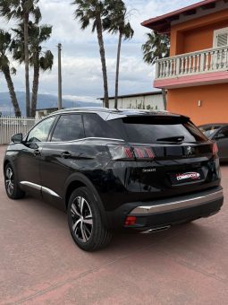 
										PEUGEOT 3008 completo									