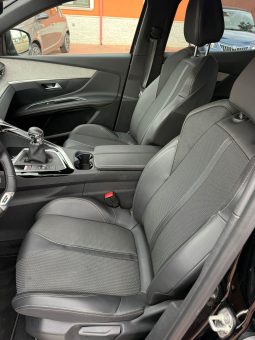 
										PEUGEOT 3008 completo									