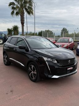 
										PEUGEOT 3008 completo									