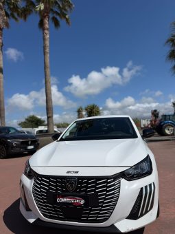 
										PEUGEOT 208 completo									
