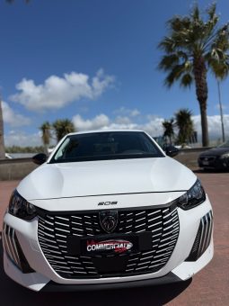 
										PEUGEOT 208 completo									