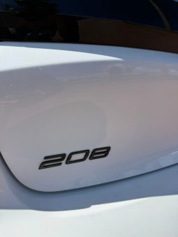 
										PEUGEOT 208 completo									