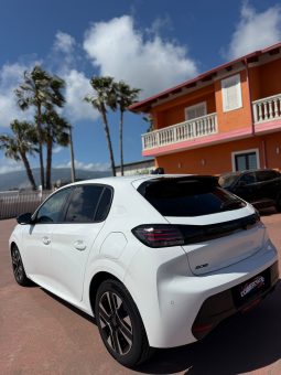
										PEUGEOT 208 completo									