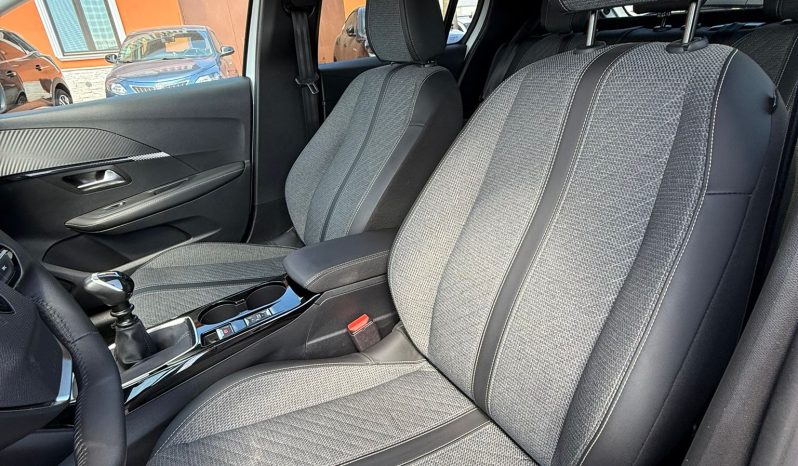
								PEUGEOT 208 completo									