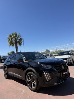 
										Peugeot 2008 completo									