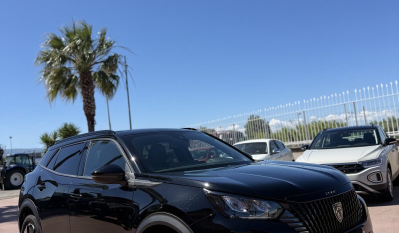 
								Peugeot 2008 completo									