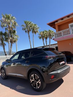 
										Peugeot 2008 completo									