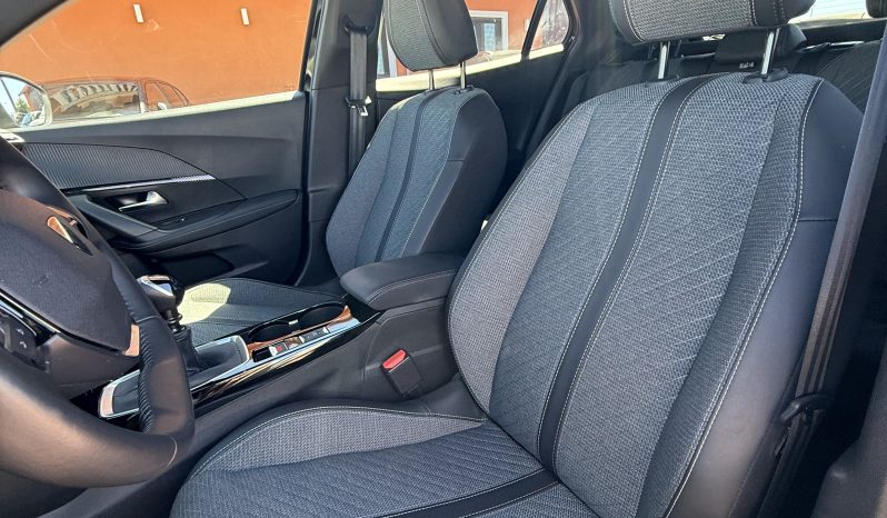 
								Peugeot 2008 completo									
