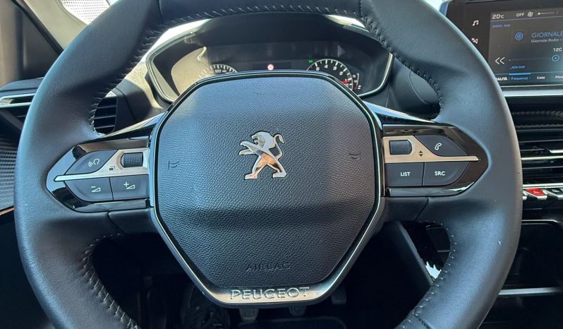 
								PEUGEOT 208 completo									