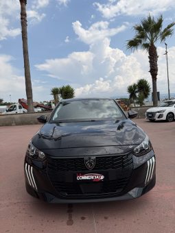 
										PEUGEOT 208 completo									