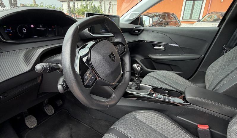 
								PEUGEOT 208 completo									