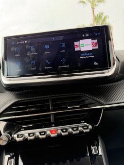 
										PEUGEOT 208 completo									