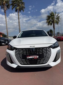 
										PEUGEOT 208 completo									