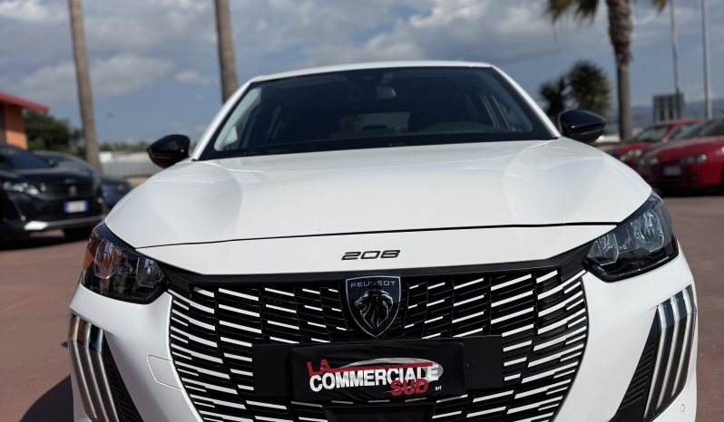 
								PEUGEOT 208 completo									