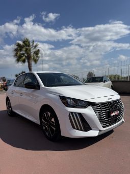 
										PEUGEOT 208 completo									
