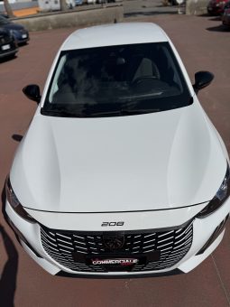 
										PEUGEOT 208 completo									